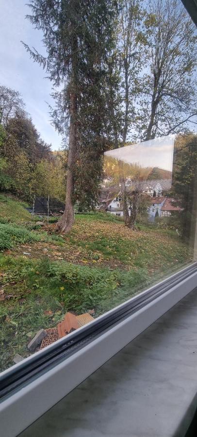 Sm Apartment Triberg im Schwarzwald Екстер'єр фото